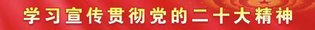 如何根据体型制定个性化的篮球训练方案_0